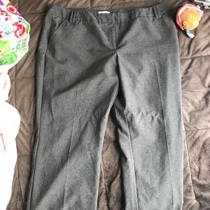 NWOT NY&Co slacks. Gray